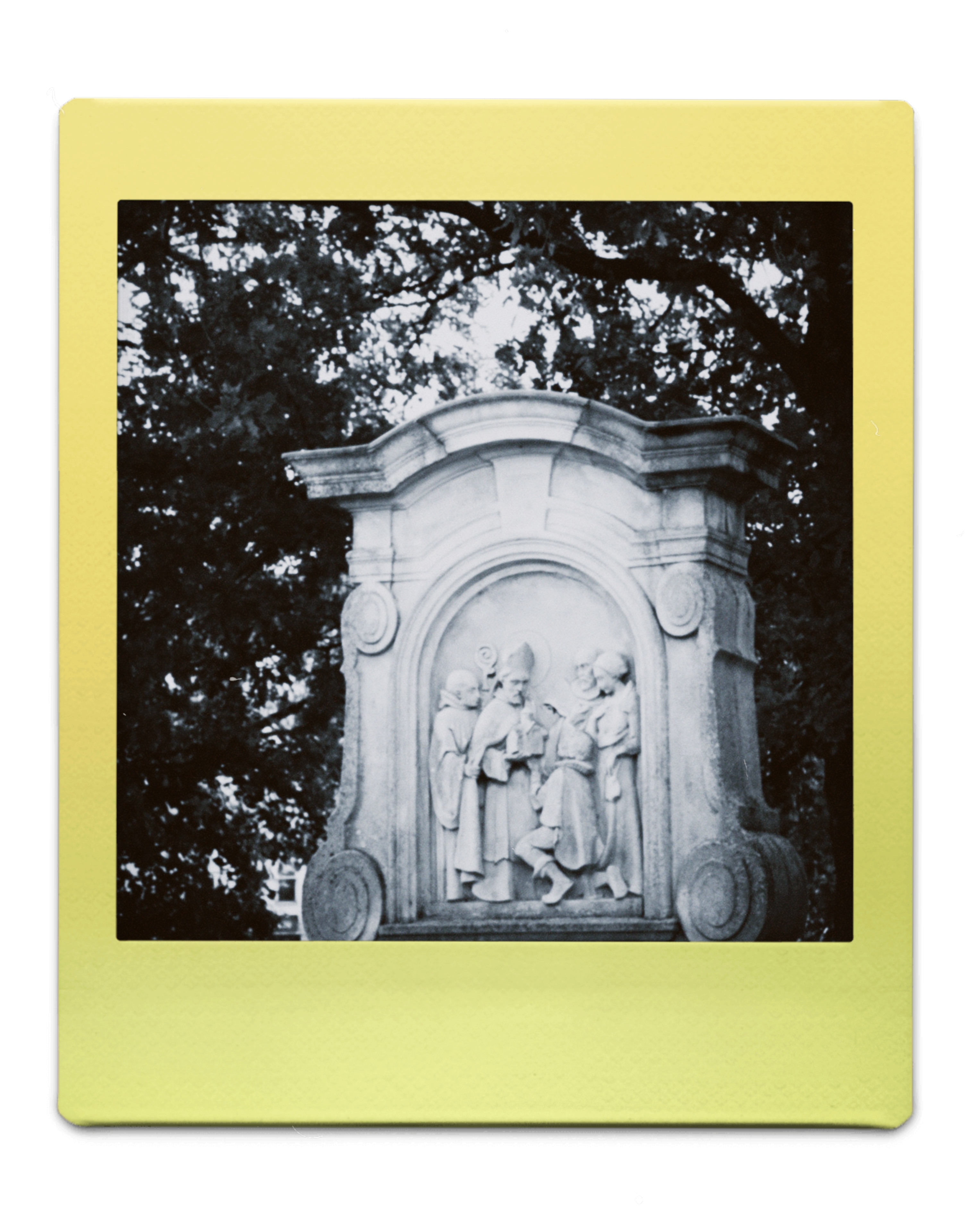 polaroid beeld